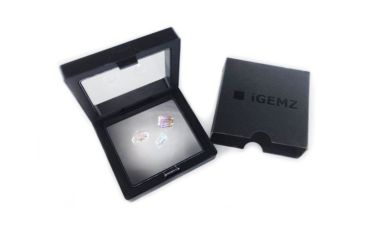 Delivery1a iGEMZ Packaging