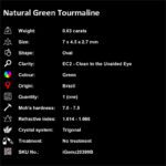 0.63 ct Green Tourmaline - iGemz20399B
