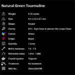 0.72 ct Green Tourmaline - iGemz20419B