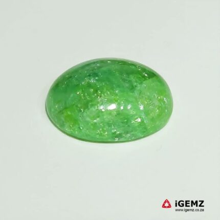 23.28 ct Green Emerald - iGemz20594