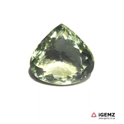 18.02 ct Green Prasiolite - iGemz21147