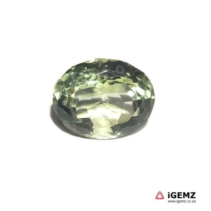 13.81 ct Green Prasiolite - iGemz21169