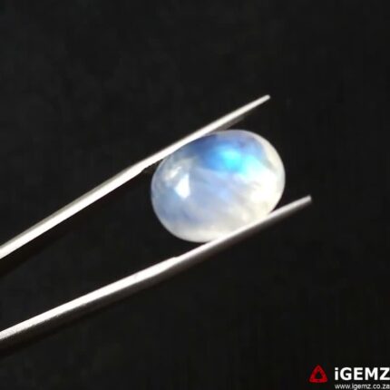 12.43 ct Blue Moonstone - iGemz21198