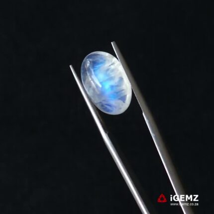 6.62 ct Blue Moonstone - iGemz21216
