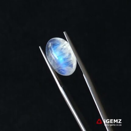 6.62 ct Blue Moonstone - iGemz21216