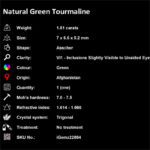 1.81 ct Bi-Colour Tourmaline - iGemz22864