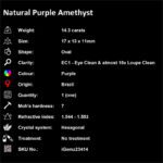14.3 ct Purple Amethyst - iGemz23414