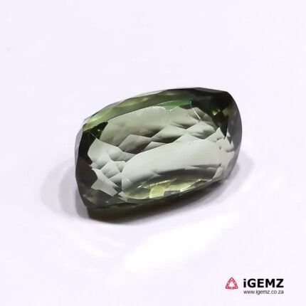 25.5 ct Green Prasiolite - iGemz24651