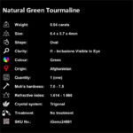 0.94 ct Green Tourmaline - iGemz24881