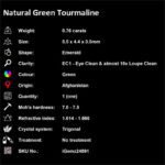0.76 ct Green Tourmaline - iGemz24891