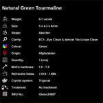 0.7 ct Green Tourmaline - iGemz24897