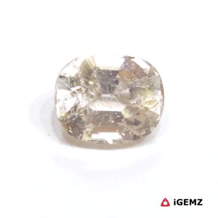 iGemz25059.1