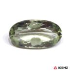13 ct Green Prasiolite - iGemz25135