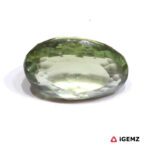 iGemz25138.1