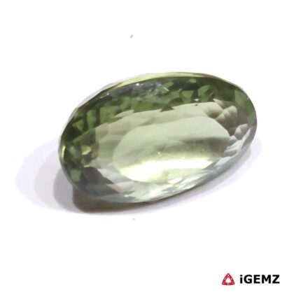 iGemz25138.2