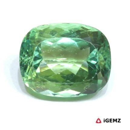 30.94 ct Green Spodumene - iGemz25161