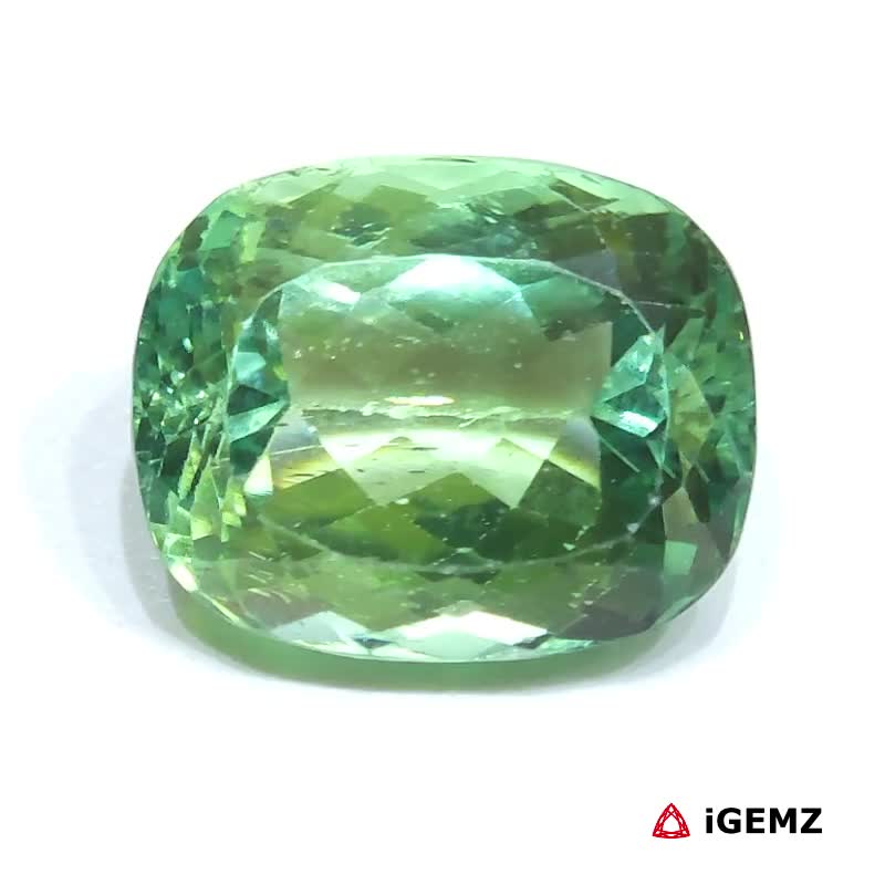 iGemz25161.1 30.94 ct Green Spodumene - iGemz25161