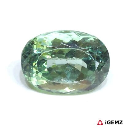 21.6 ct Green Spodumene - iGemz25163