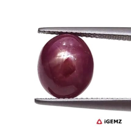 8.04 ct Red Star Ruby - iGemz25785