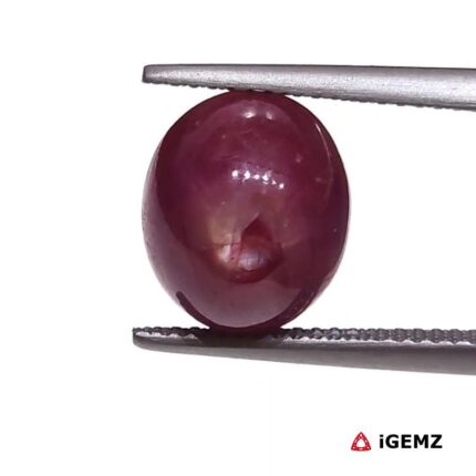 8.04 ct Red Star Ruby - iGemz25785
