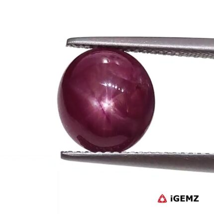 6.4 ct Red Star Ruby - iGemz25786
