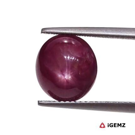 6.4 ct Red Star Ruby - iGemz25786