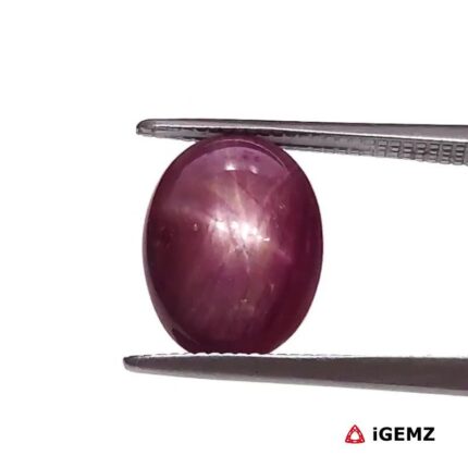 4.9 ct Red Star Ruby - iGemz25787