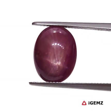 4.9 ct Red Star Ruby - iGemz25787