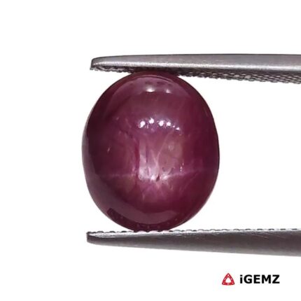 8.21 ct Red Star Ruby - iGemz25788