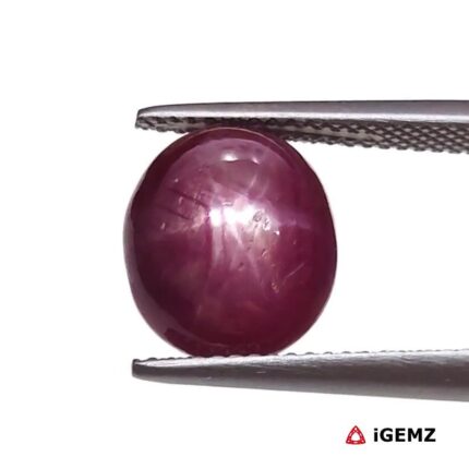 8.21 ct Red Star Ruby - iGemz25788