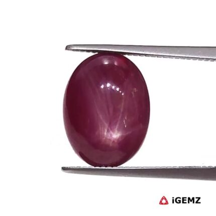 6.38 ct Red Star Ruby - iGemz25789
