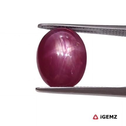 6.38 ct Red Star Ruby - iGemz25789