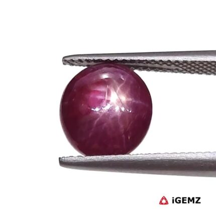 5.34 ct Red Star Ruby - iGemz25790