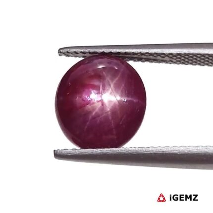 5.34 ct Red Star Ruby - iGemz25790