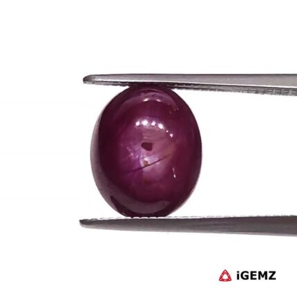5.35 ct Red Star Ruby - iGemz25791