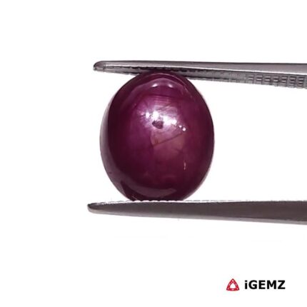 5.35 ct Red Star Ruby - iGemz25791