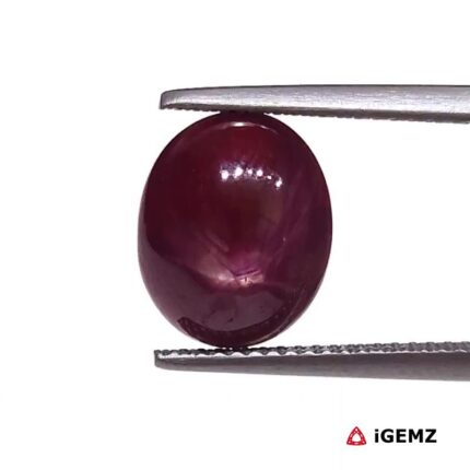 5.48 ct Red Star Ruby - iGemz25793