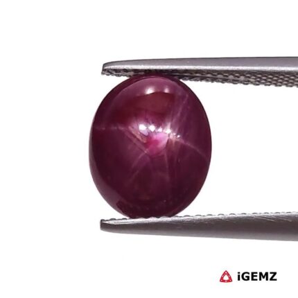 5.48 ct Red Star Ruby - iGemz25793