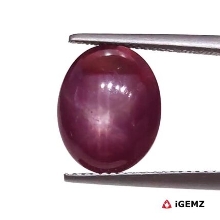 8.75 ct Red Star Ruby - iGemz25794