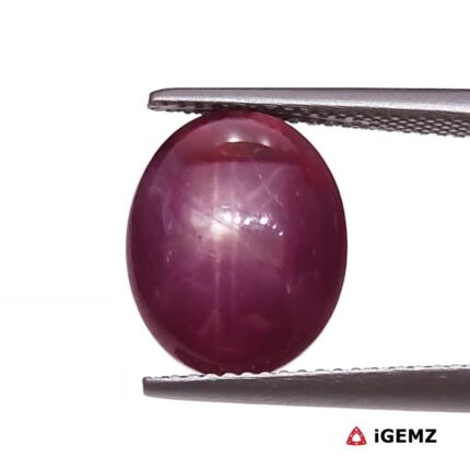 8.75 ct Red Star Ruby - iGemz25794