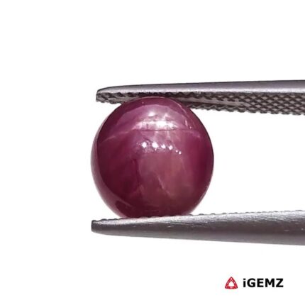 6.73 ct Red Star Ruby - iGemz25795