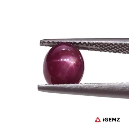 4.71 ct Red Star Ruby - iGemz25796