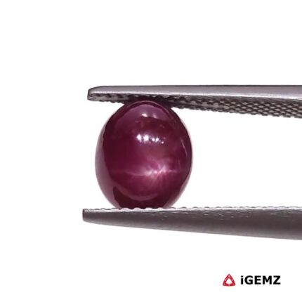 4.71 ct Red Star Ruby - iGemz25796
