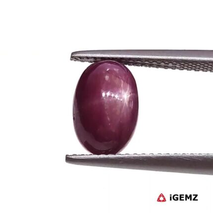 5.49 ct Red Star Ruby - iGemz25797