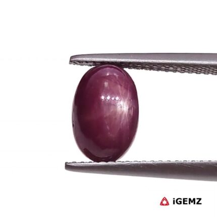 5.49 ct Red Star Ruby - iGemz25797