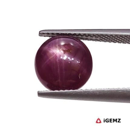 5.83 ct Red Star Ruby - iGemz25798