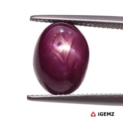 13.76 ct Red Star Ruby - iGemz25799