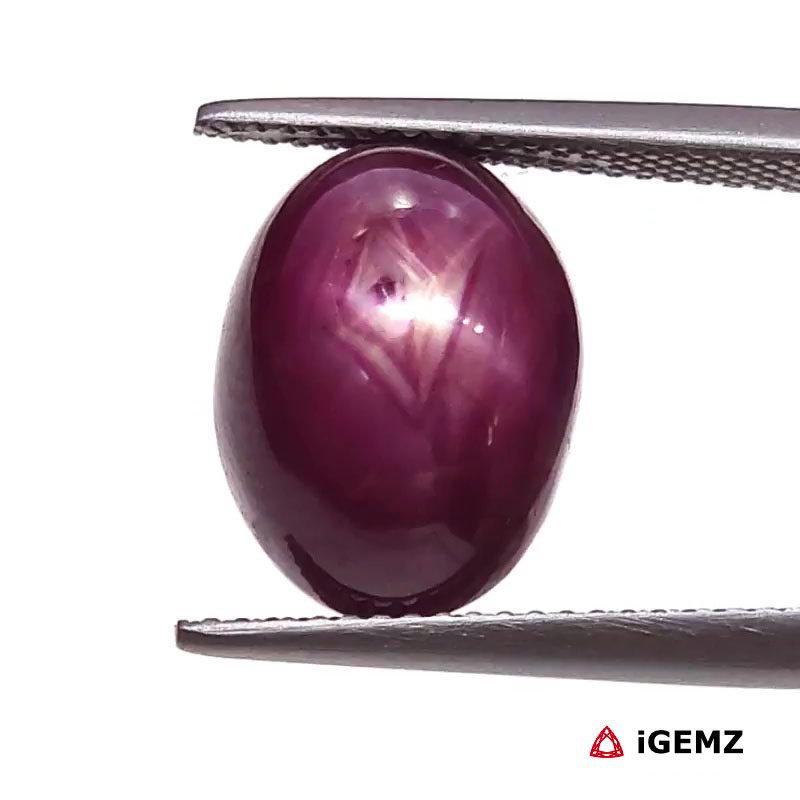 iGemz25799.1 13.76 ct Red Star Ruby - iGemz25799