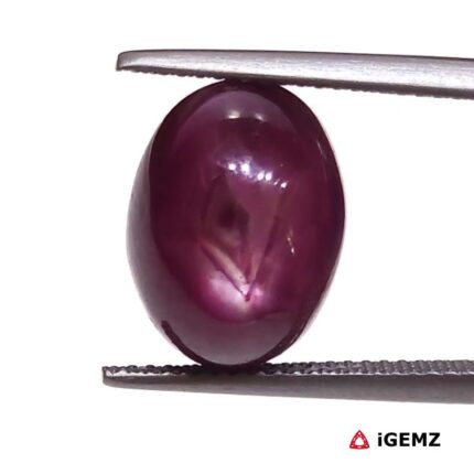 13.76 ct Red Star Ruby - iGemz25799
