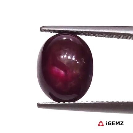 7.72 ct Red Star Ruby - iGemz25800